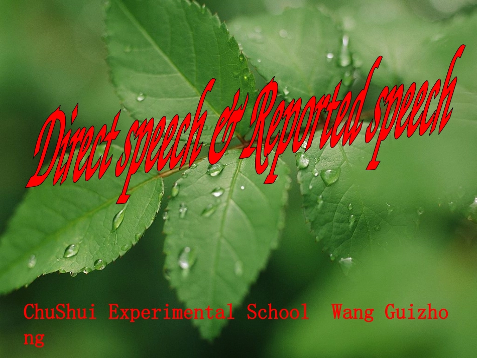 初中英语直接引语和间接引语_第2页