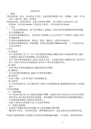 皮肤组织的正常结构及细胞功能