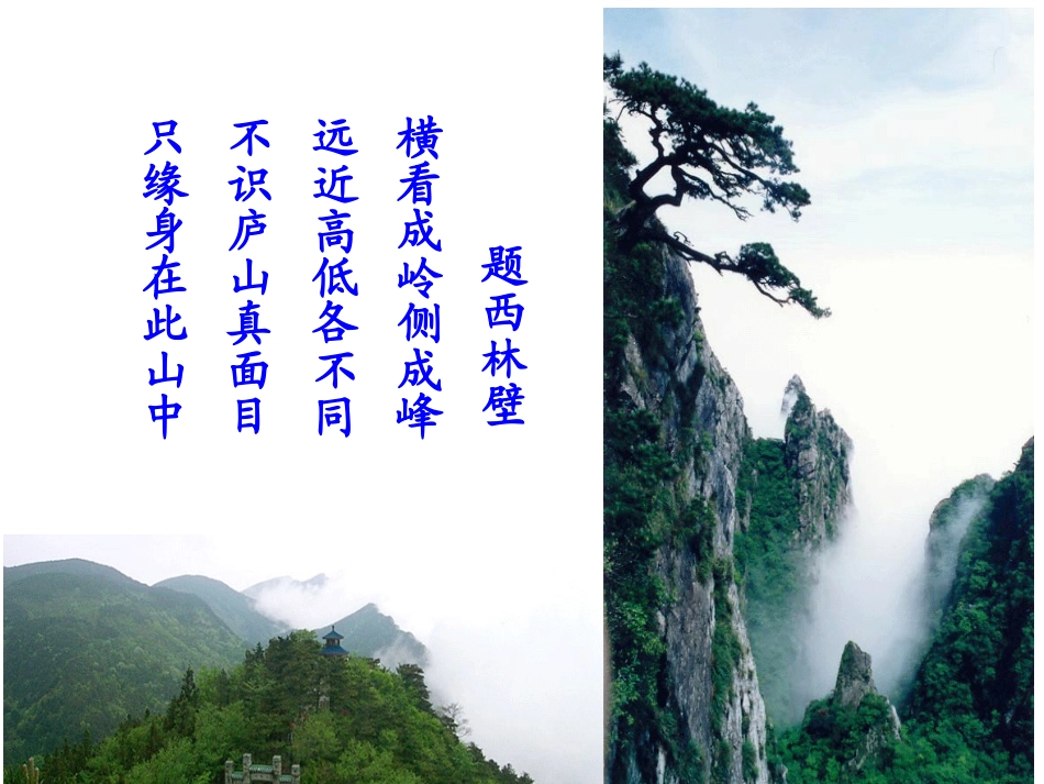 观察物体精品课件_第1页