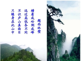 观察物体精品课件