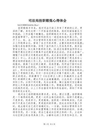 司法局挂职锻炼心得体会