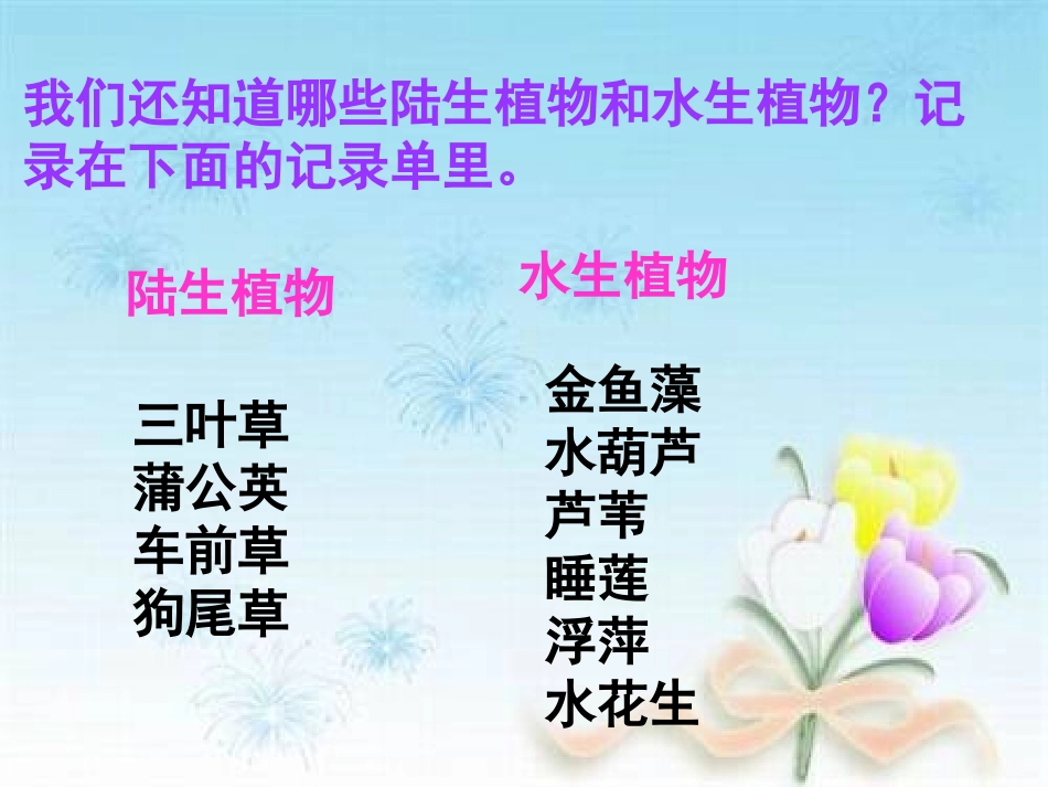 植物有哪些相同特点_第2页