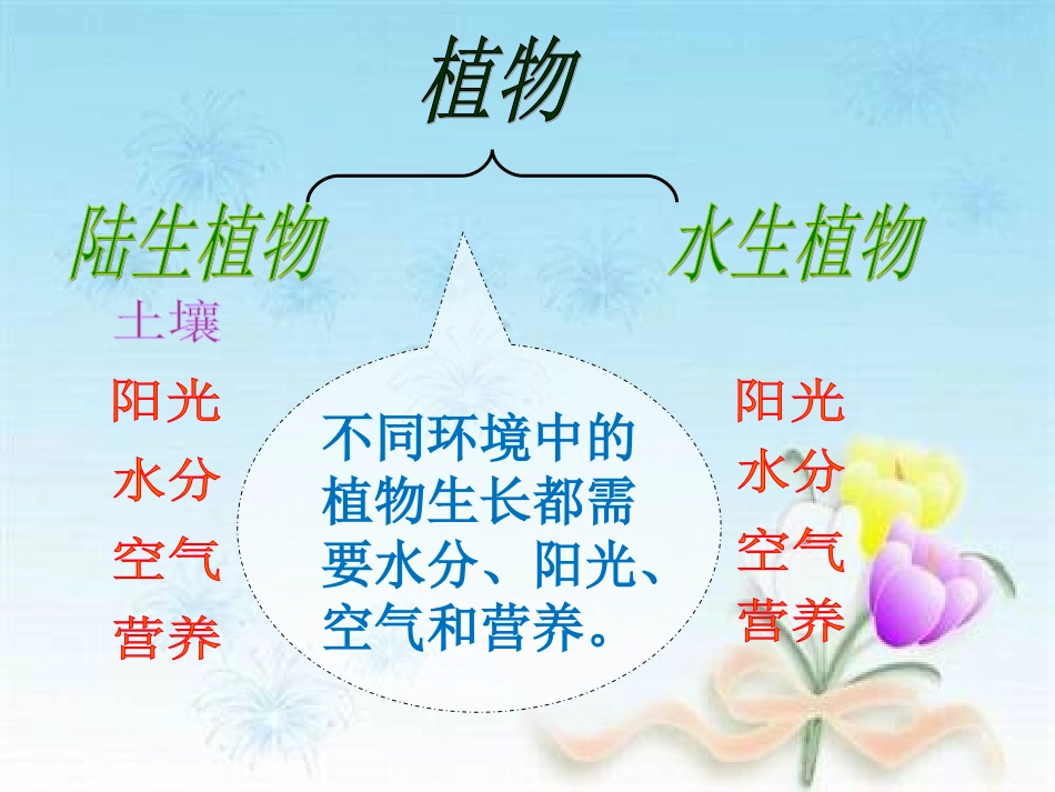 植物有哪些相同特点_第3页