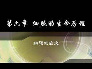 细胞的癌变课件新人教必修