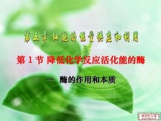 酶的作用和本质