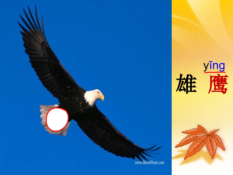 人教版二年级语文上册第7组识字7PPT课件_第3页