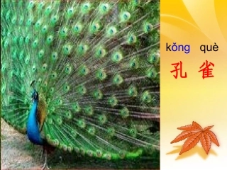 人教版二年级语文上册第7组识字7PPT课件