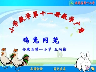 鸡兔同笼——王向彬