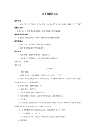 小松鼠找花生 