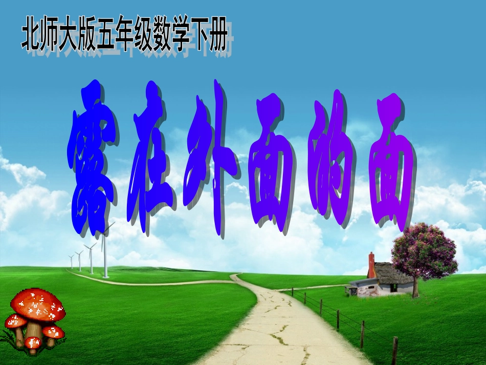 露在外面的面_第1页