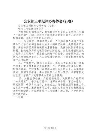 公安部三项纪律心得体会(石睿)