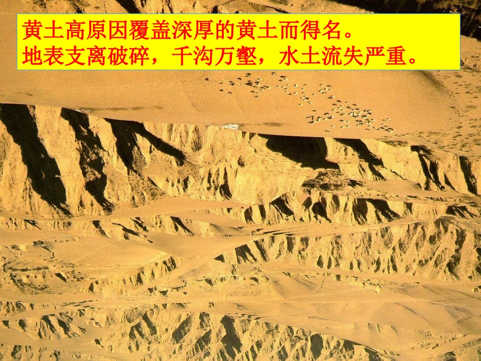 世界最大的黄土堆积区黄土高原_第3页