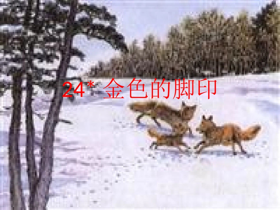 《金色的脚印》课件()_第2页