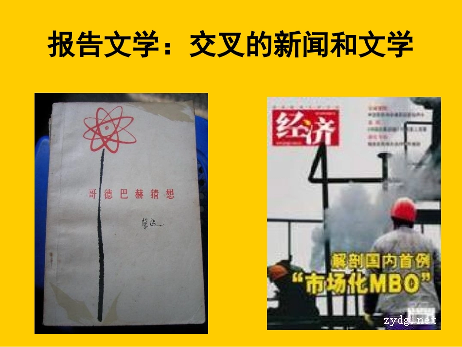 《报告文学：交叉的新闻和文学》_第1页