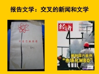 《报告文学：交叉的新闻和文学》