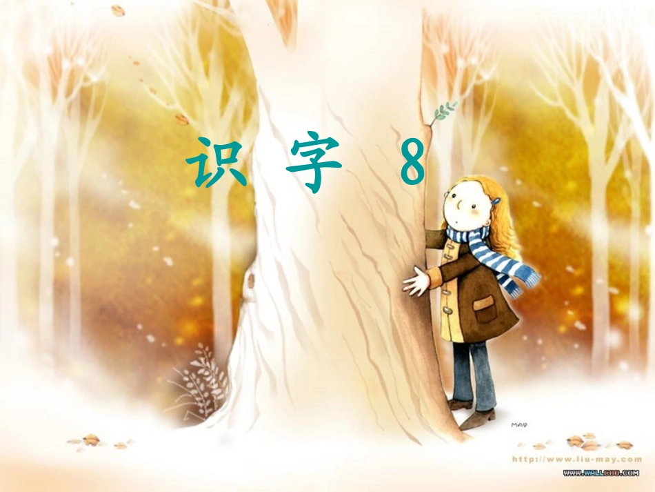 二年级语文上册第八组我是什么第一课时课件_第1页