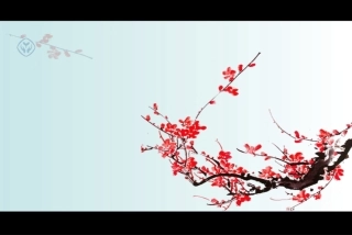 五年级数学上册·稍复杂的方程