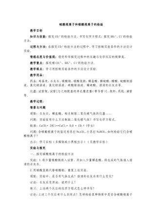 硫酸根离子和碳酸根离子的检验