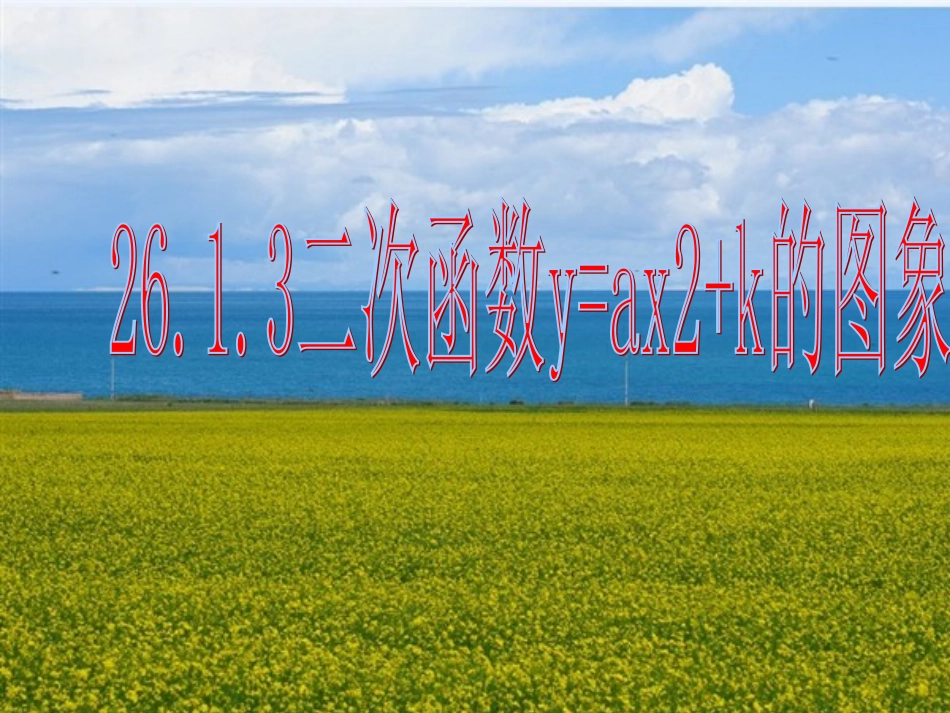 二次函数yaxk的图像_第1页