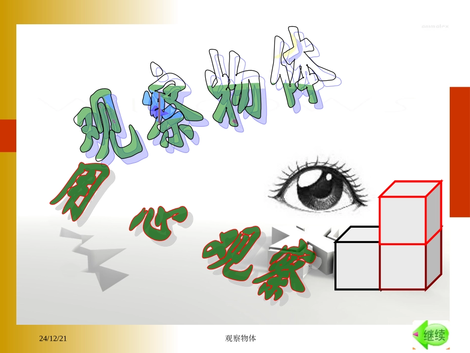 观察物体》PPT课件_第1页