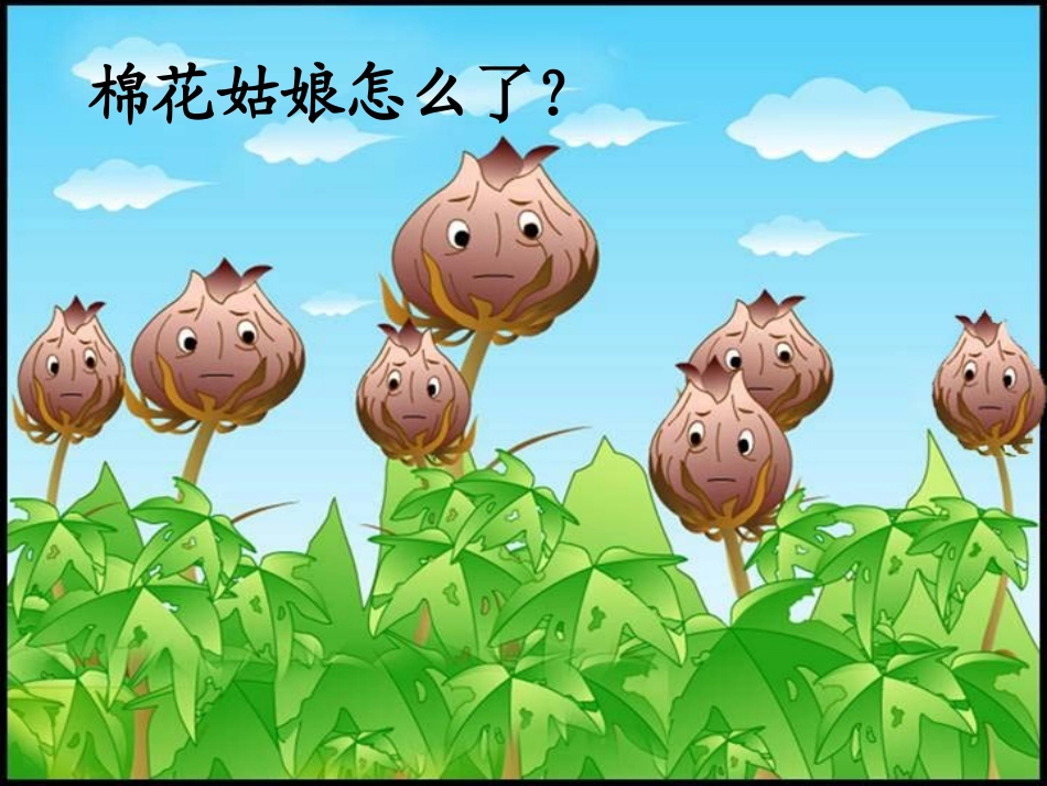 《棉花姑娘》_第3页