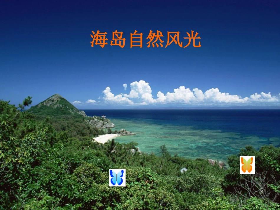 _彩色的翅膀PPT课件_第2页