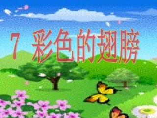 _彩色的翅膀PPT课件