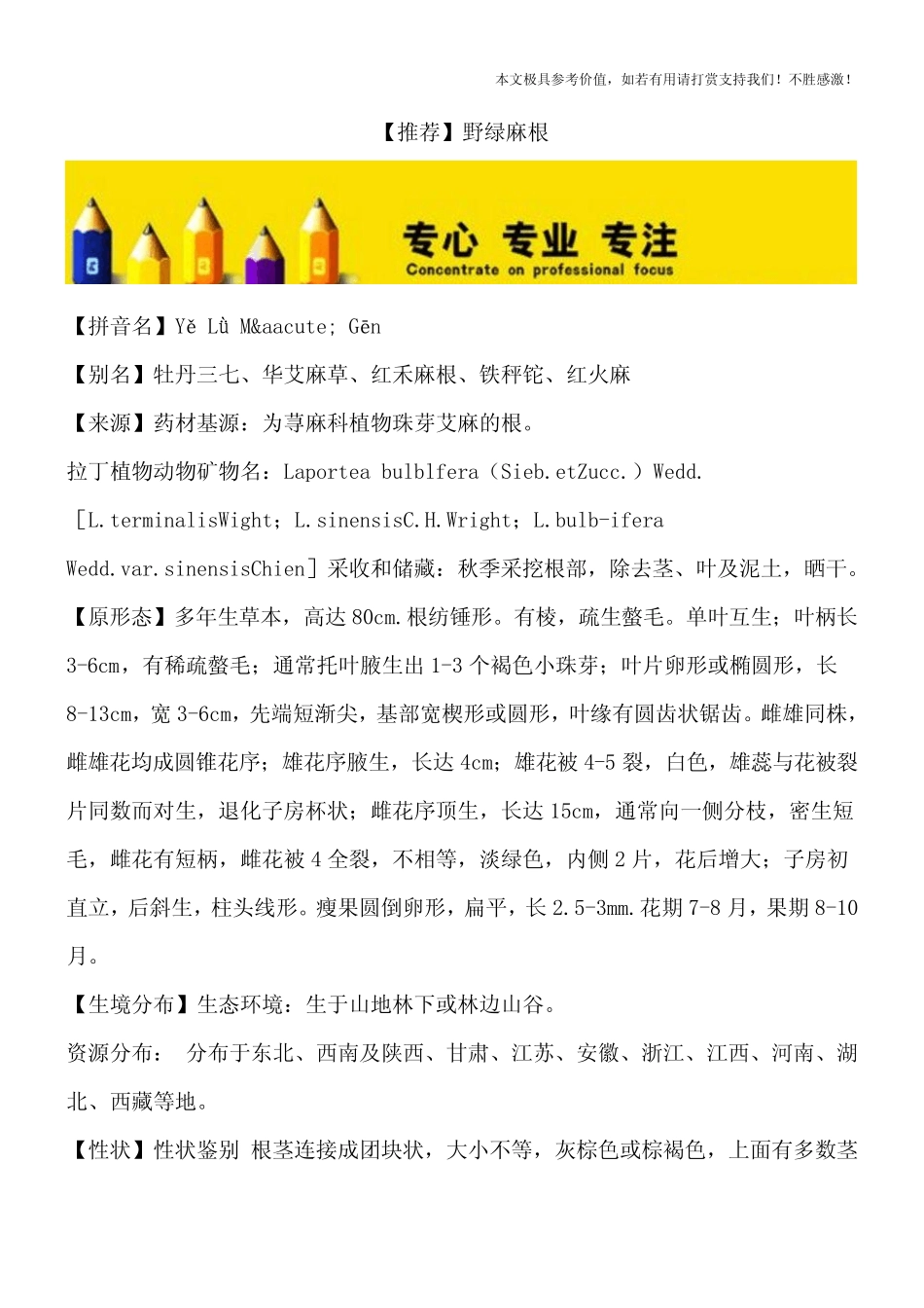 【推荐】野绿麻根_第1页
