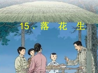 《落花生》课件4