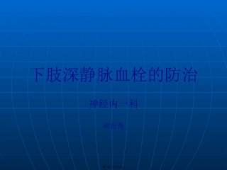 下肢深静脉血栓幻灯-周世芮