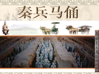 秦兵马俑 (4)