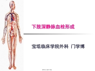 下肢深静脉血栓讲课