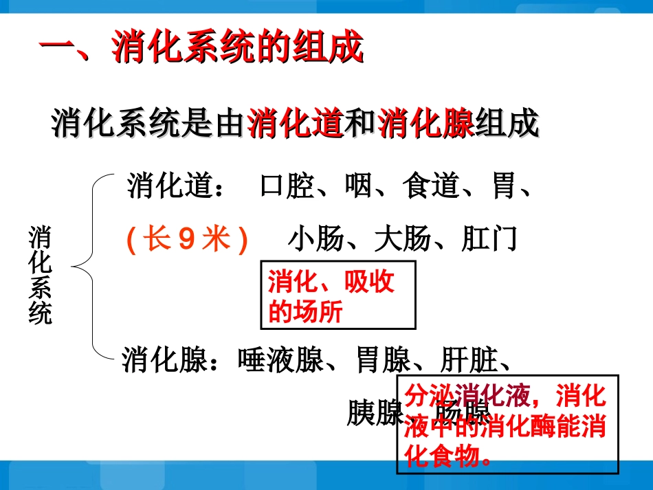 《人体的消化与吸收》参考课件2_第3页