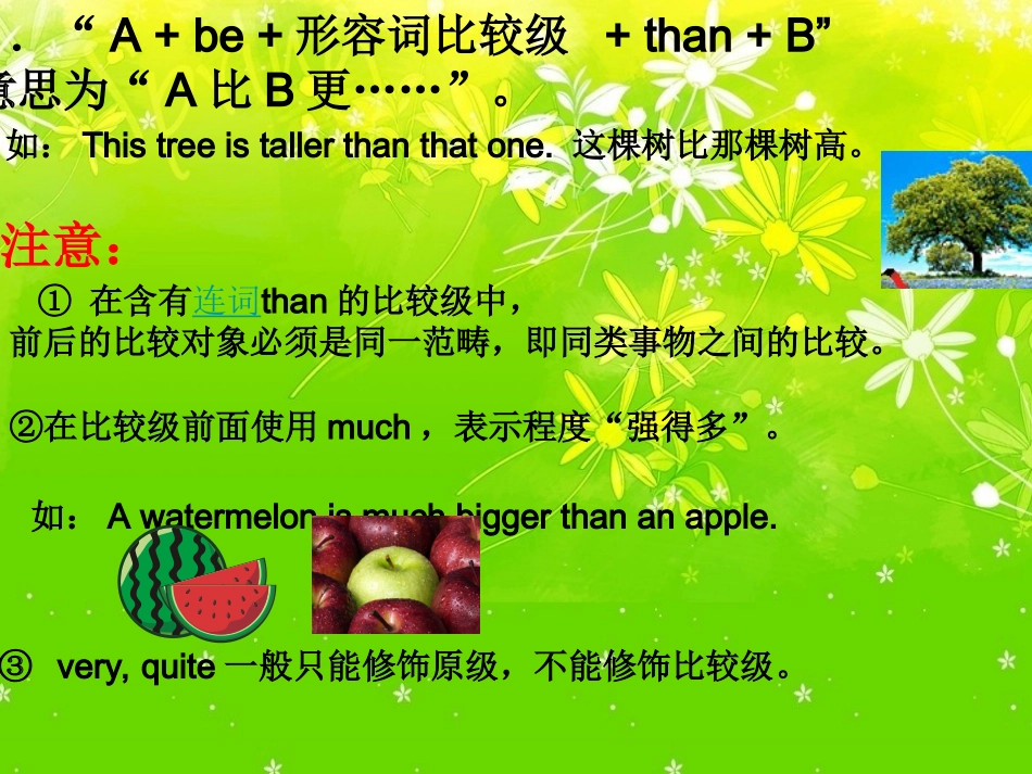 初中英语比较级和最高级_第2页