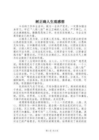 树正确人生观感想