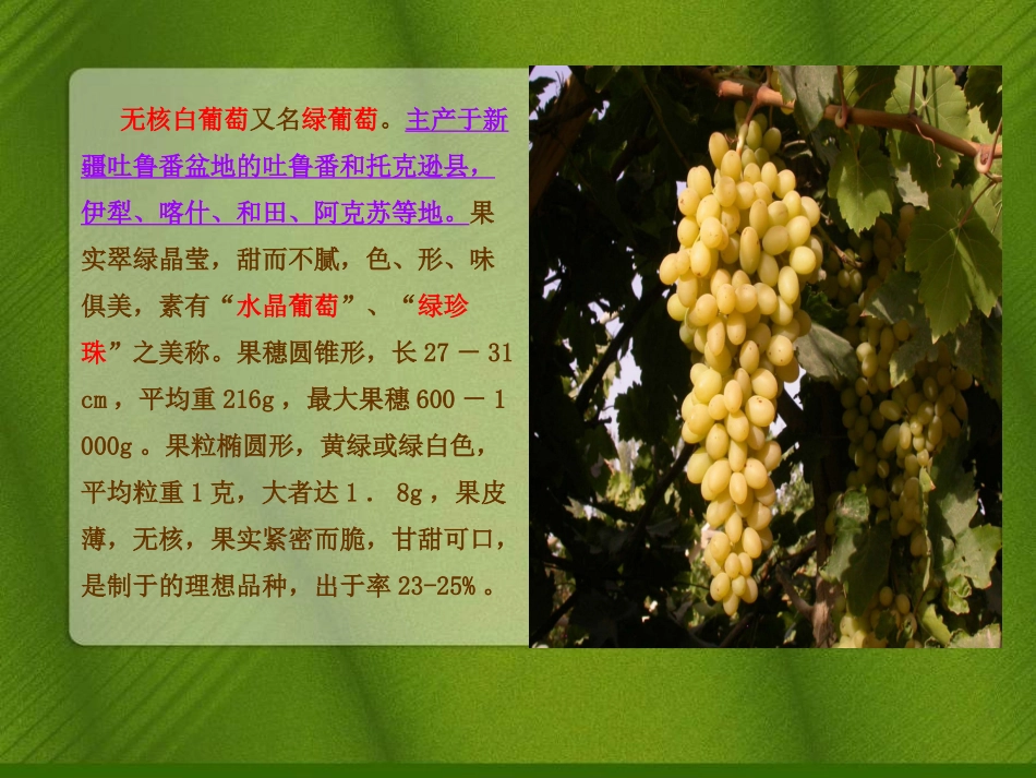 综合实践《葡萄》_第2页