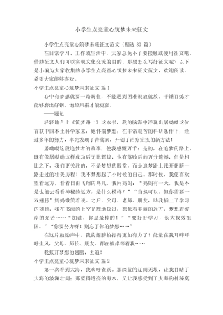 小学生点亮童心筑梦未来征文 