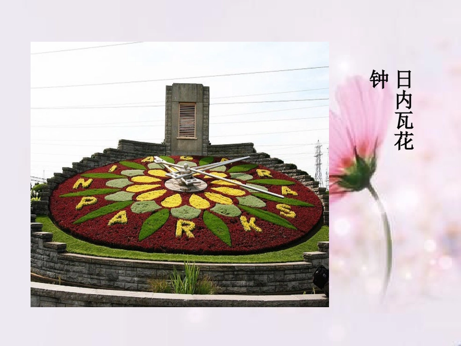 三年级上册《花钟》_第3页
