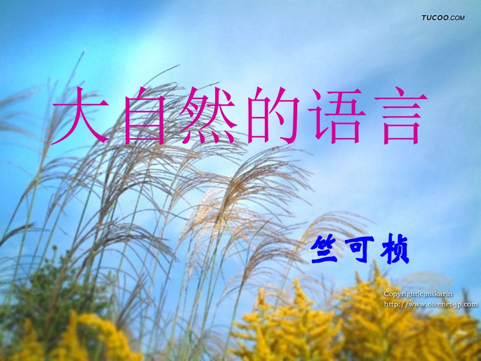 、大自然的语言_第1页