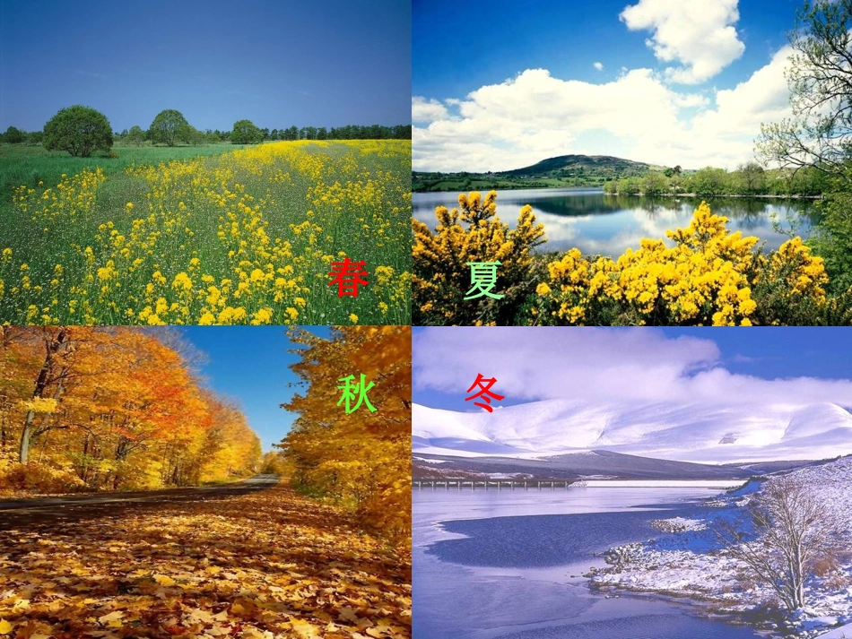 、大自然的语言_第3页