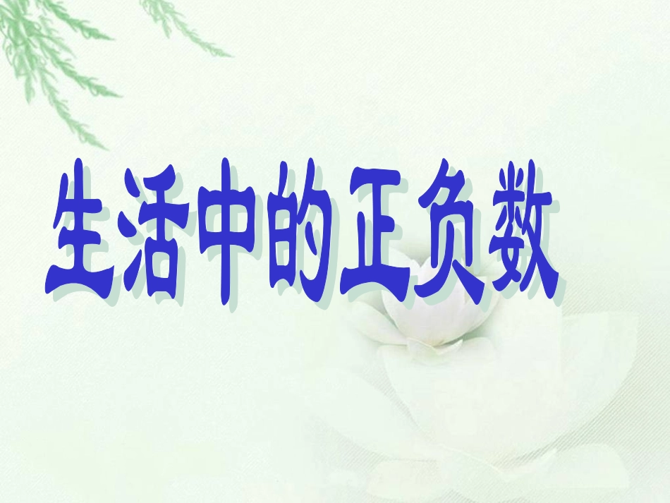 北师大版数学四年级上册正负数PPT课件_第1页