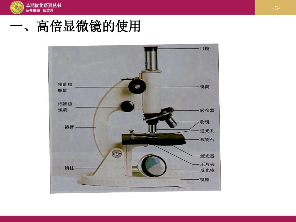 细胞的多样性和统一性_第3页