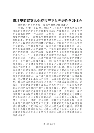 市环境监察支队保持共产党员先进性学习体会