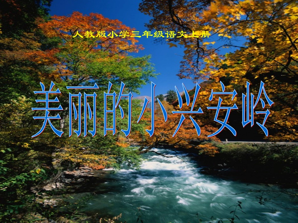 美丽的小兴安岭[1]_第1页