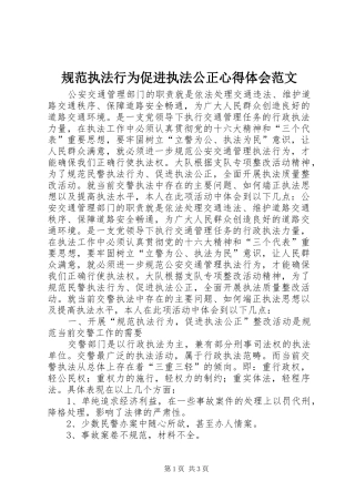 规范执法行为促进执法公正心得体会范文