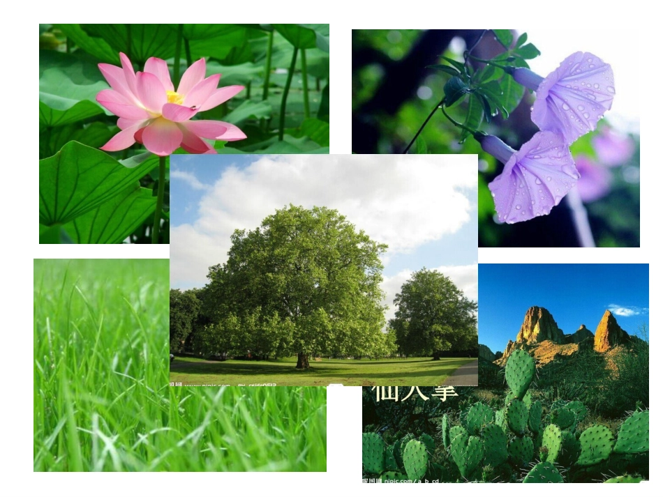 鄂教版二年级品德与生活《亲密的朋友》PPT_第2页