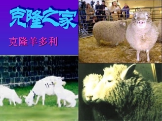 《奇妙克隆》课件