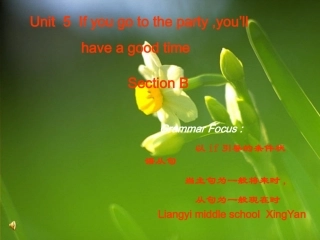 八年级下unit5sectionB