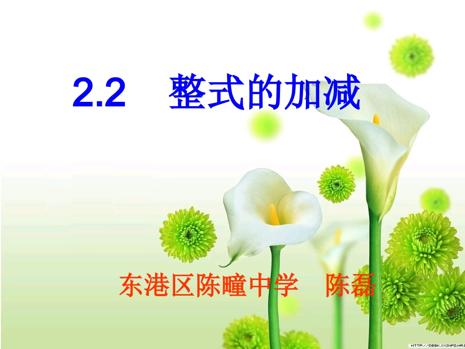 整式的加减()_第1页