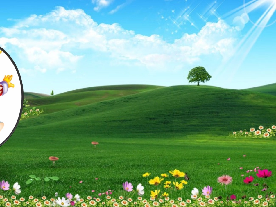 小班数学：捉迷藏_第2页